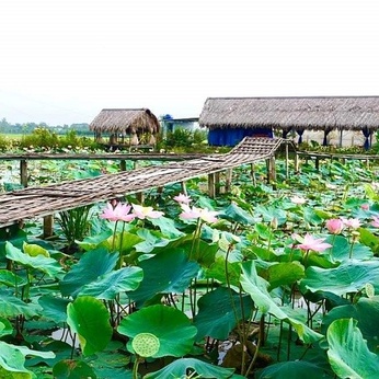 Dong Thap