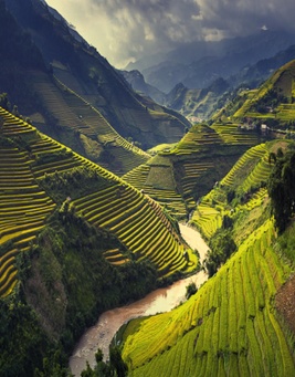 Ha Giang
