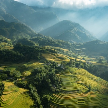 Sapa