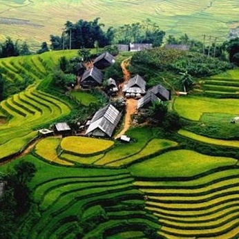 Lai Chau