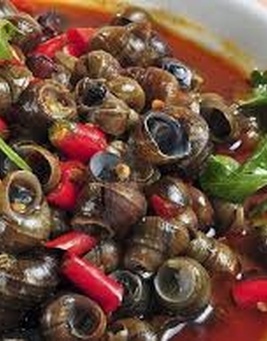 Ốc Hút Đà Nẵng